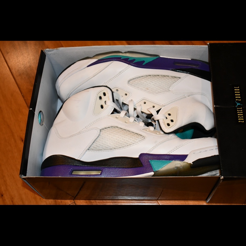 Air Jordan Grape 11’s